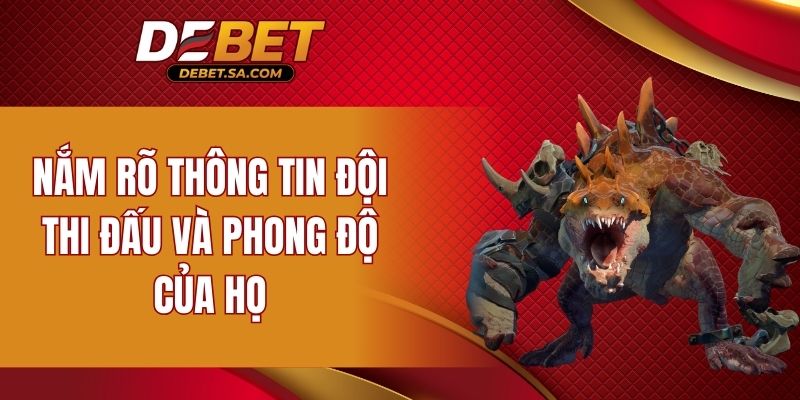 Nắm rõ thông tin đội thi đấu và phong độ của họ